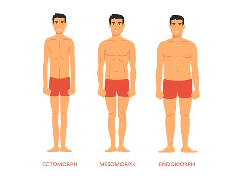 3 body types quiz|ectomorph mesomorph endomorph quiz.